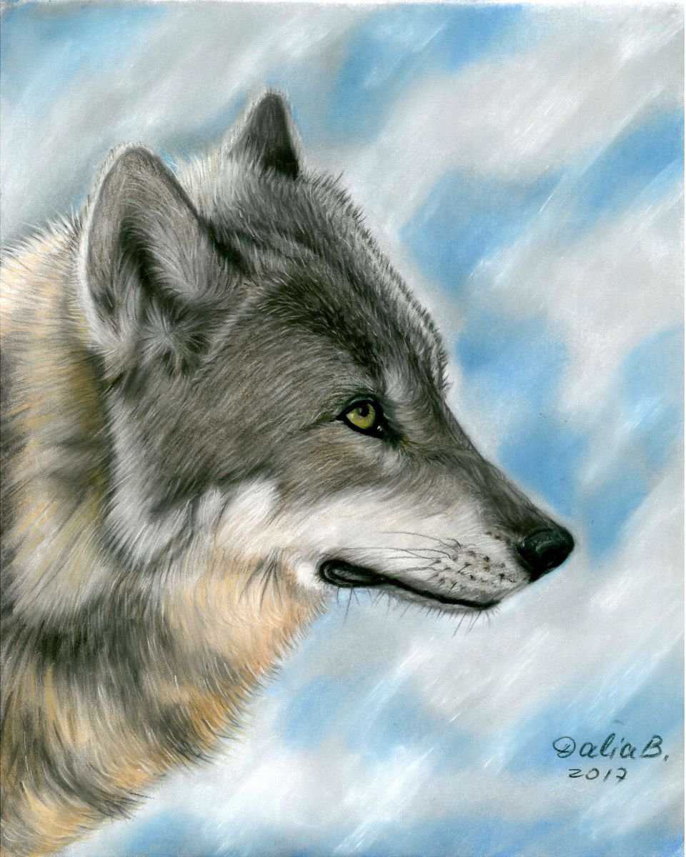 Wolf (2017) Pastel drawing by Dalia Binkiene | Artfinder