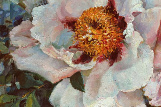 Two peonies. 100x70