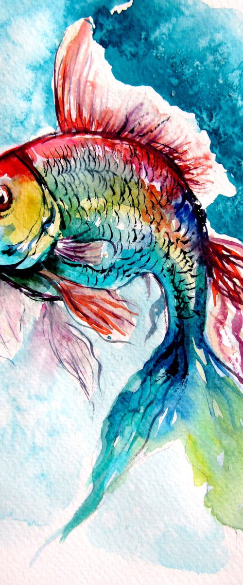 Colorful fish by Kovács Anna Brigitta