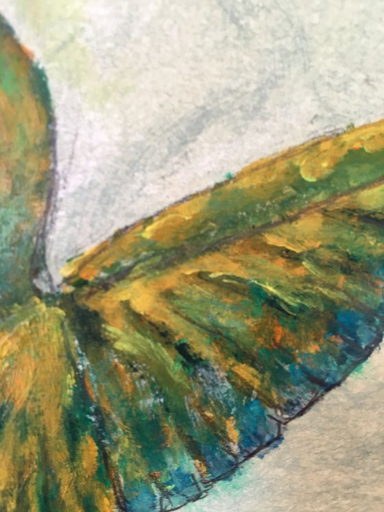 Study of hummingbird II