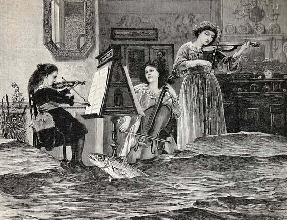 Cello, violins and fish