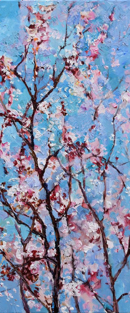Flowering apricot tree - Original oil painting by Anastasiia Valiulina