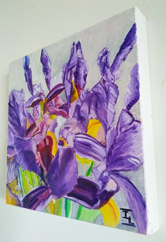 Irises - Spring flowers