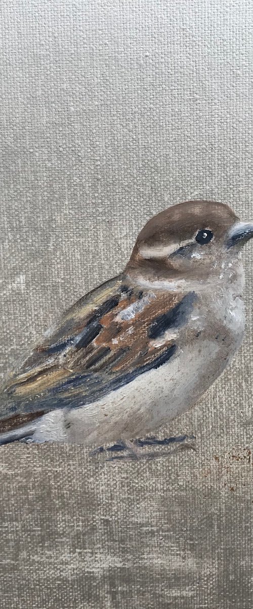 Little Sparrow ~ on silver by Laure Bury