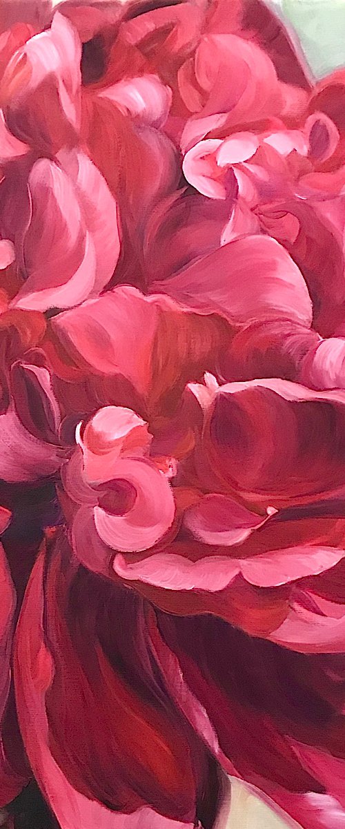 Felicity- red peony by Anita Nowinska