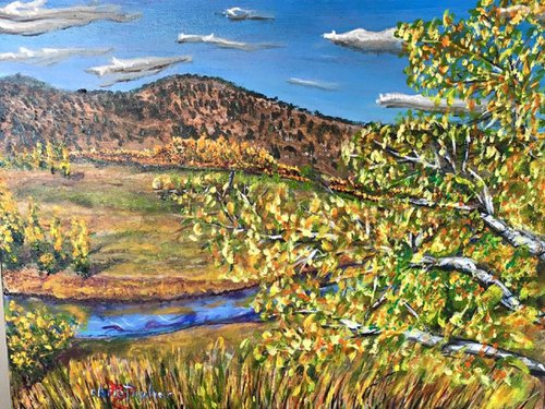 Aspen Meadow by Mark Smith