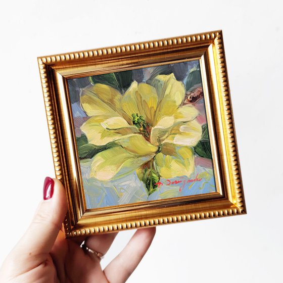 Magnolia yellow