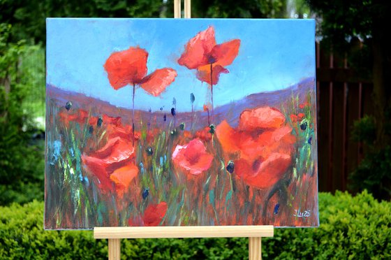 Coral Poppies