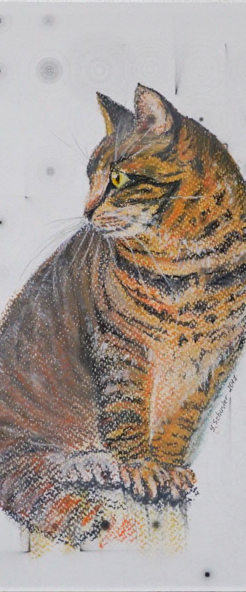 Cat by Yulia Schuster