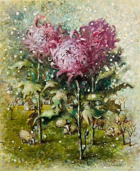 Purple Chrysanthemum flowers