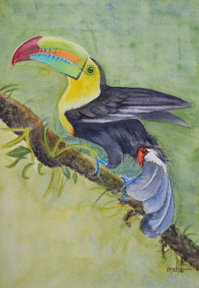 Neha Soni | Original Watercolour | Keel-Billed Toucan With Background | 20 X 30Cm | Artwork For Sale On Artfinder