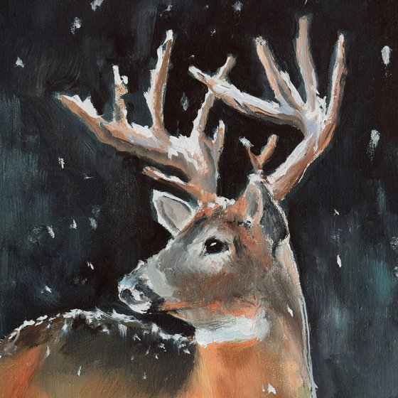 Male buck deer in snowy scene