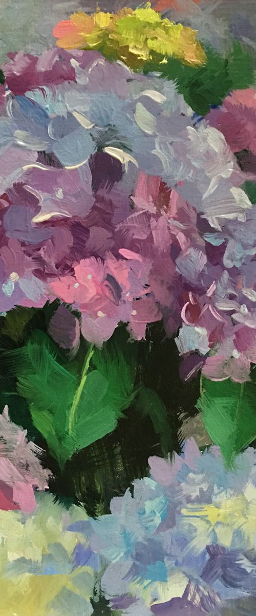 Hydrangea Garden by Ling Strube