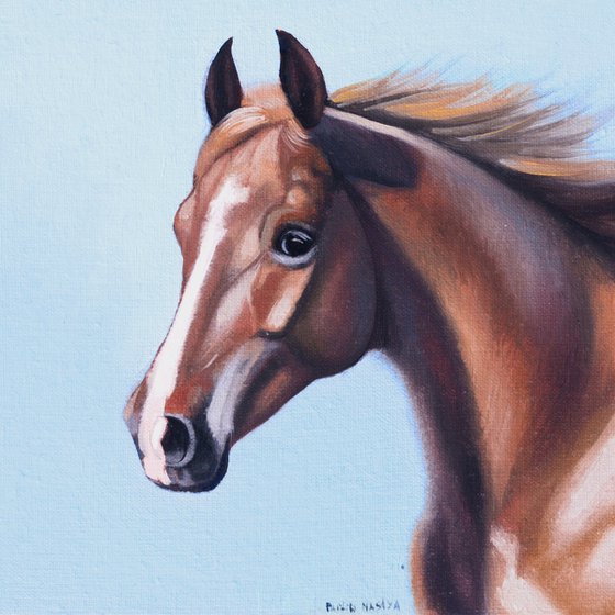 Horse Portrait 20