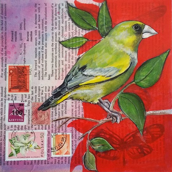 Greenfinch - Ornithology#4 - Framed ready to hang original painting