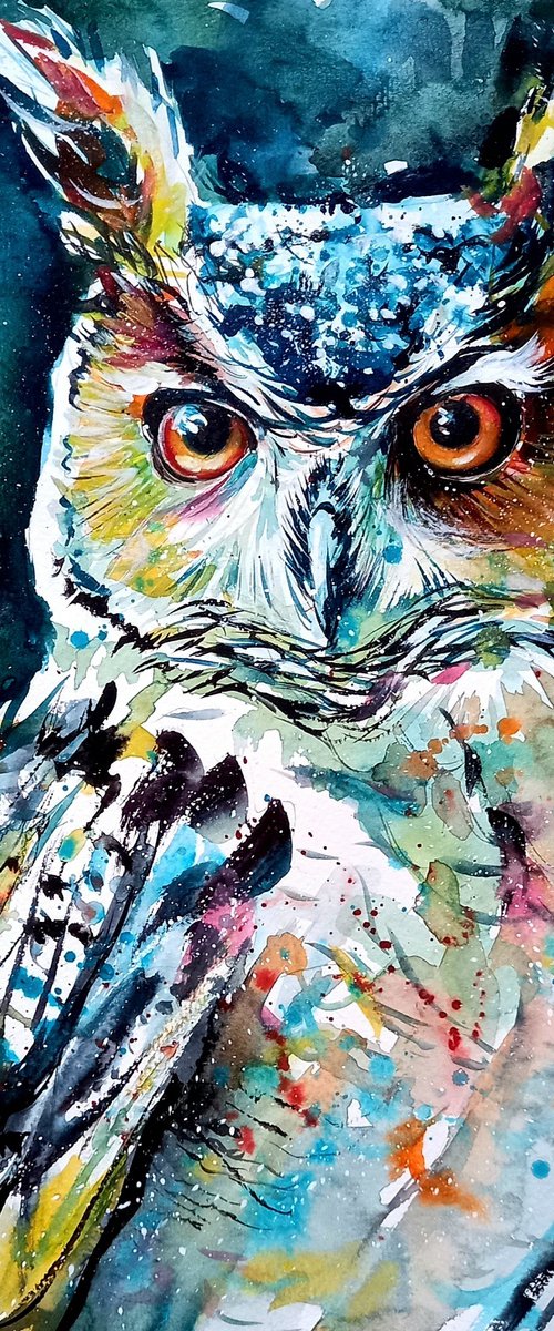 Owl portrait by Kovács Anna Brigitta