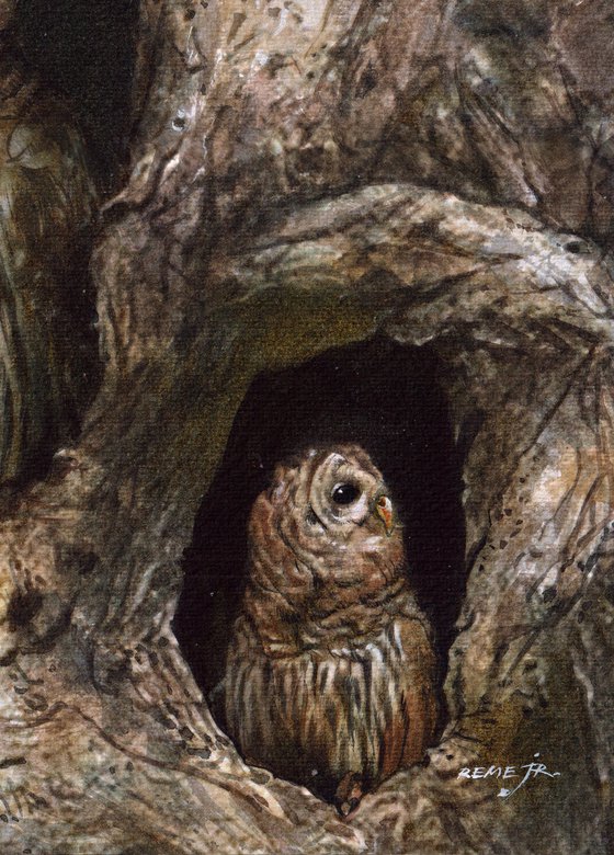 OWL'S FAMILY
