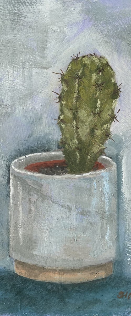 Cactus Study by Shayne McGirr