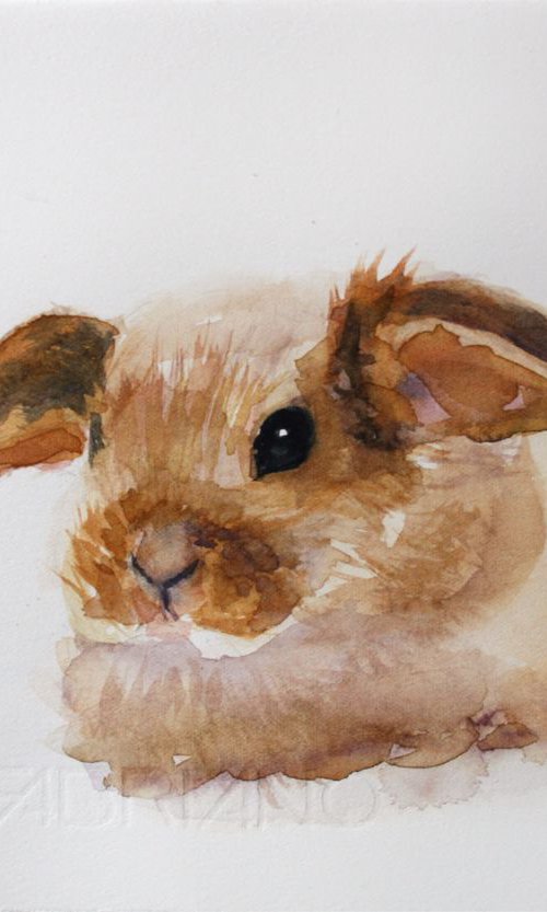 Bunny I /  ORIGINAL PAINTING by Salana Art Gallery