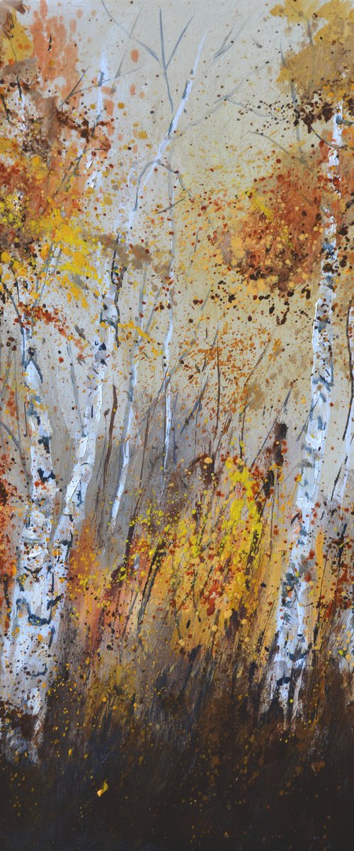 Aspen trees 5624 by Pol Henry Ledent