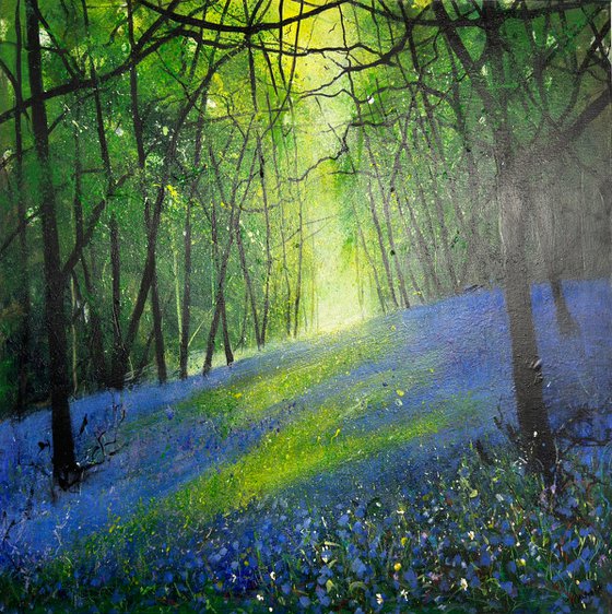 Light across Bluebell Woodland