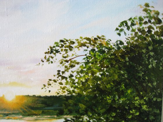 Summer Sunset Meadow