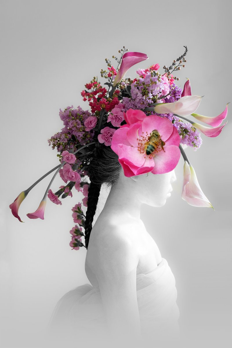 Surrealistic Botanical Photograph By Ziesook You, 20 X 30", Pink Dream, Original Artwork