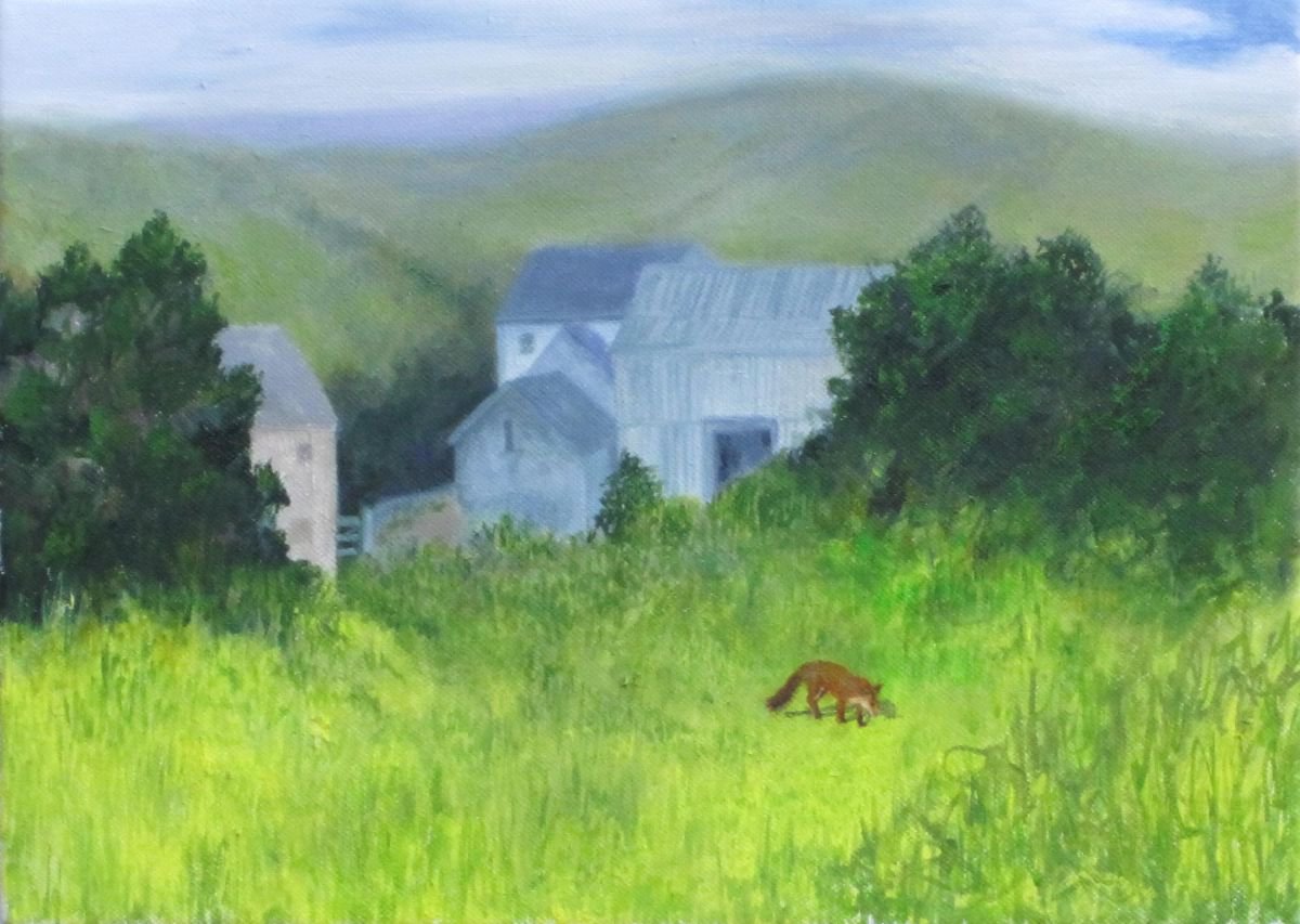 Fox at West Ford Farm by Carole King