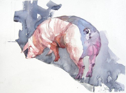 Piggy 2 by Goran Žigolić Watercolors