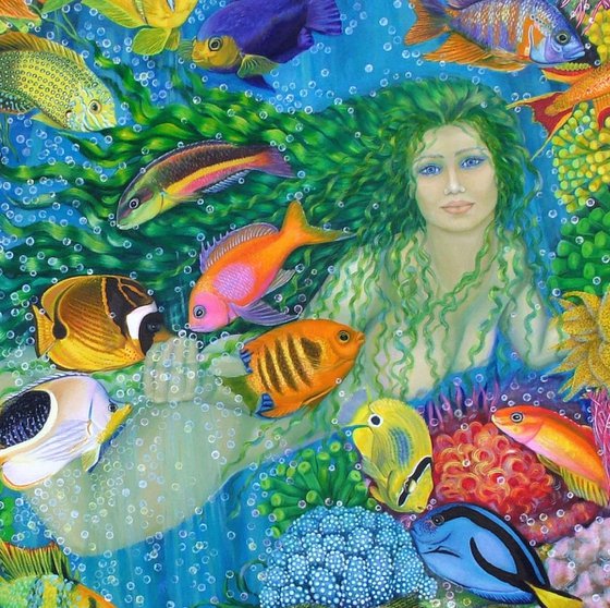 Dream in the Reef