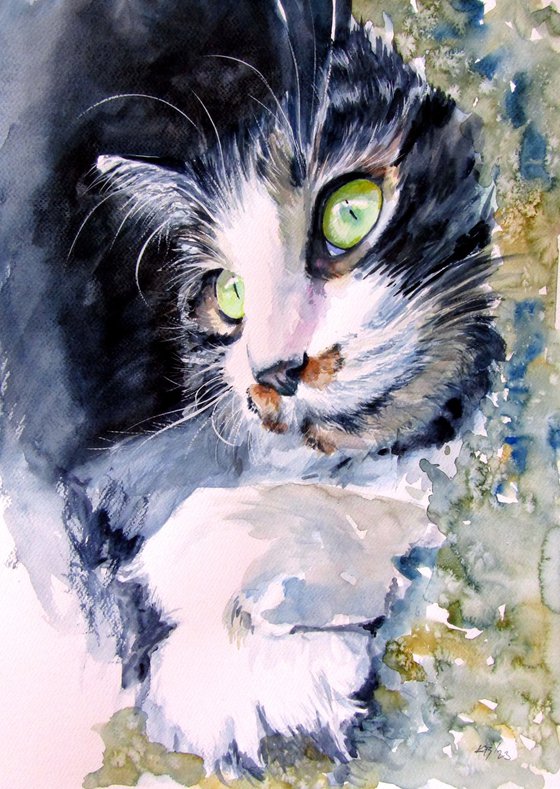 Resting cat