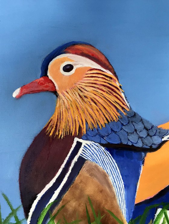 MANDARIN DUCK