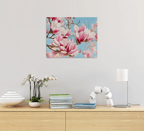 Magnolia Flowers