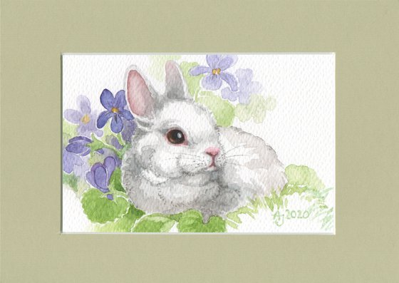 Spring is coming - Bunny