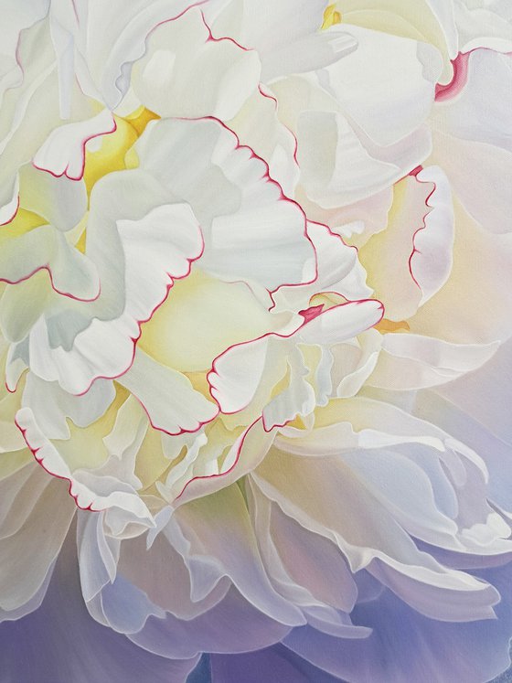 The breath of peony
