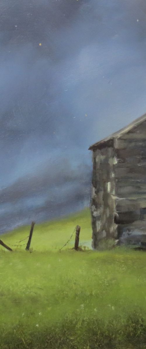 Night Flight by Kerry Lisa Davies