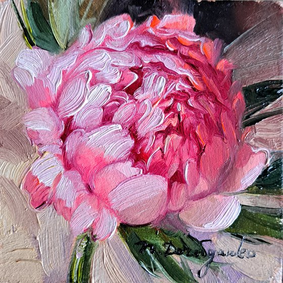 Small oil painting original framed art pink flower 4x4 in frame