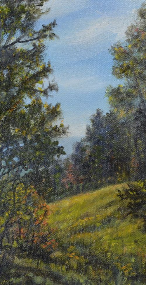 Mountain Trail - 8X10 oil by Kathleen McDermott