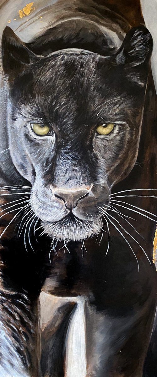 Black Beauty by Martyna Maik