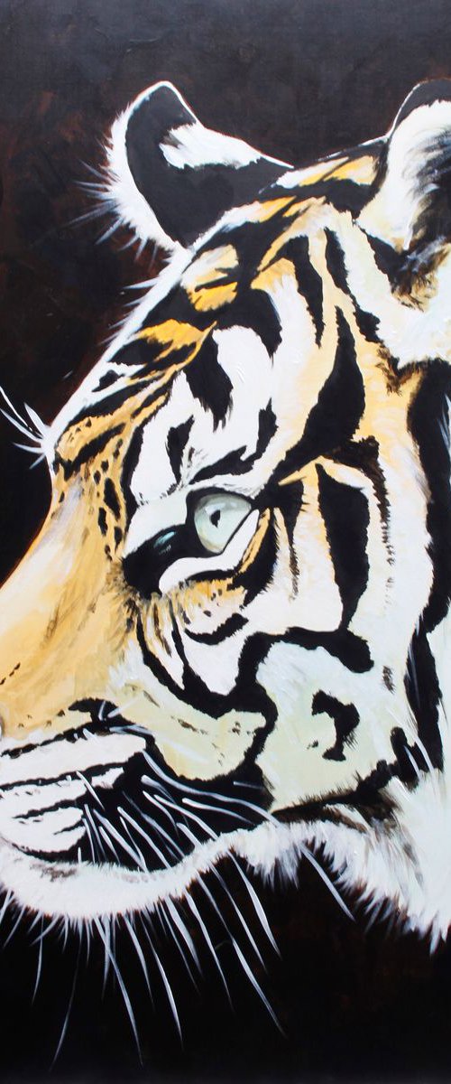 Tiger in profile by Mr B
