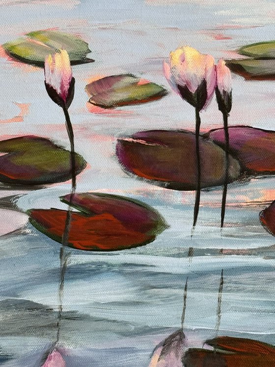 Water Lilies Land 1