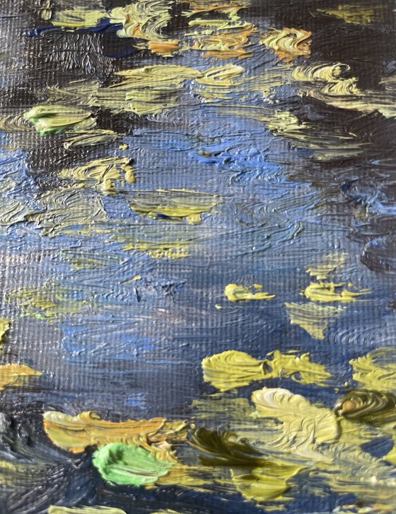 Depth of Dusk - Waterlily pond