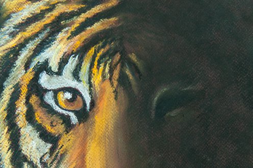 Cover image for Who is William Blake? Poetry and art combined collection