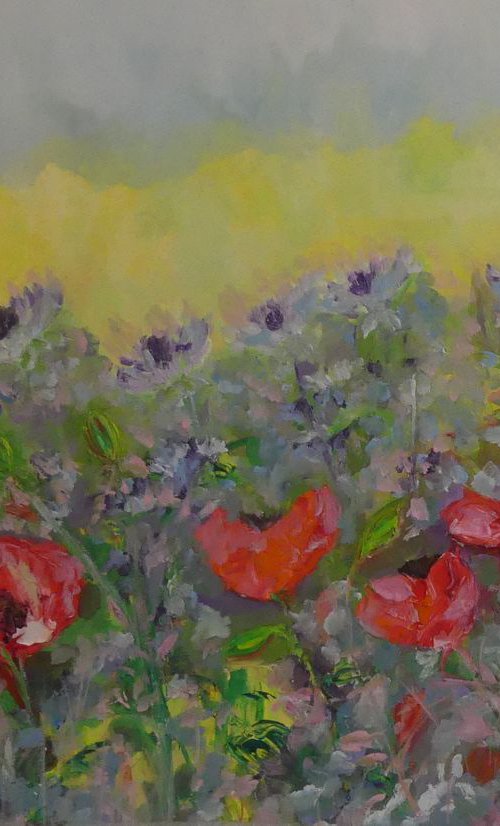 Garden Poppies by Lesley Blackburn