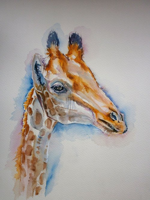 Giraffe by Sue  Green