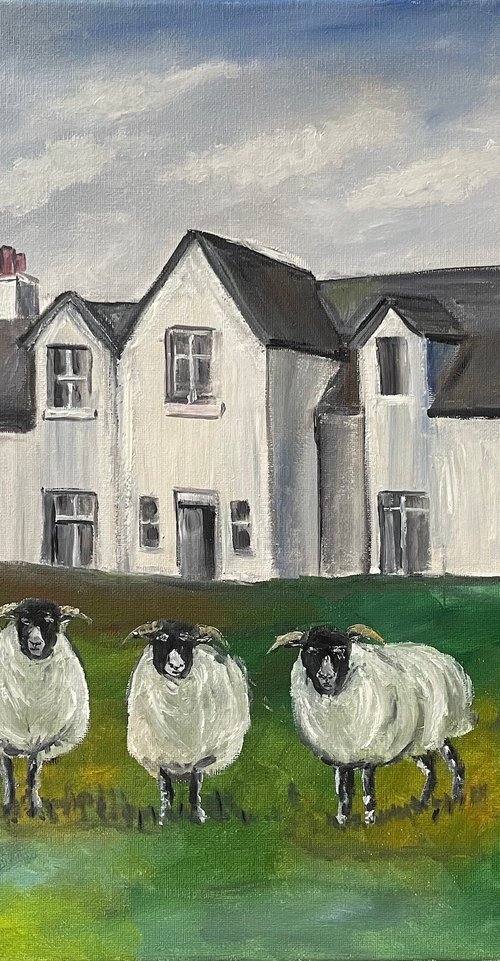 The Sheep And The Cottage by Aisha Haider