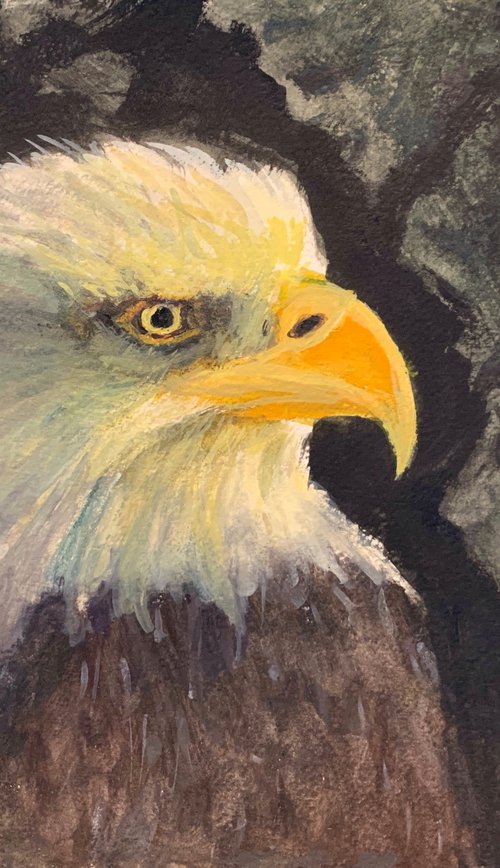 Eagle Study by Ryan  Louder