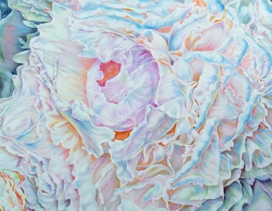 Whisper of Peonies