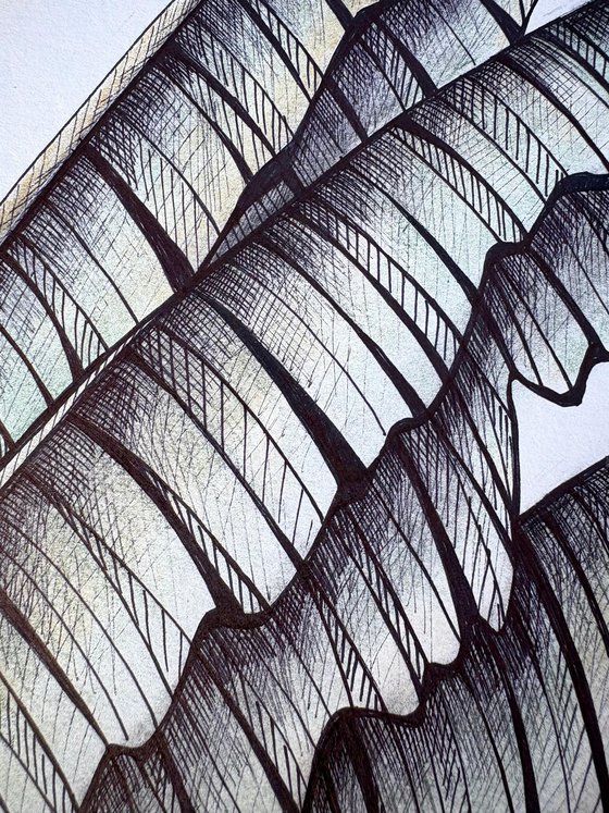BANANA LEAVES DRAWING
