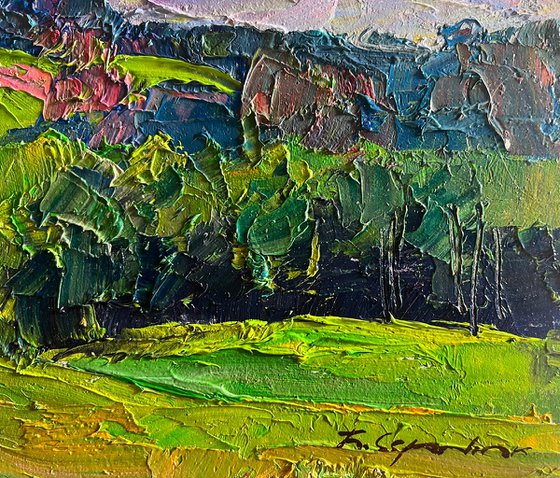 Summer Meadows and Forests